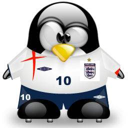 penguin pingouin pinguino 158